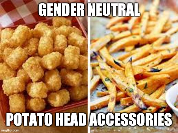 Potato head |  GENDER NEUTRAL; POTATO HEAD ACCESSORIES | image tagged in mr potato head,totts,french fries,sampsin,gender identity,chop | made w/ Imgflip meme maker