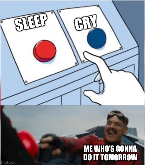 Robotnik Pressing Red Button | SLEEP CRY ME WHO’S GONNA DO IT TOMORROW | image tagged in robotnik pressing red button | made w/ Imgflip meme maker