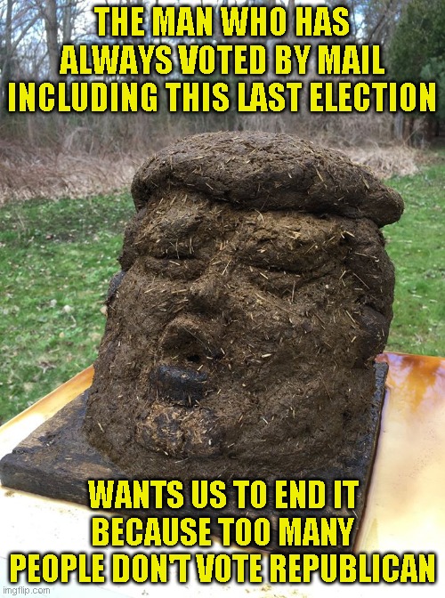 New GOP platform: Don't let them vote is easier than actually earning their vote | THE MAN WHO HAS ALWAYS VOTED BY MAIL INCLUDING THIS LAST ELECTION; WANTS US TO END IT BECAUSE TOO MANY PEOPLE DON'T VOTE REPUBLICAN | image tagged in trump made of horseshit | made w/ Imgflip meme maker