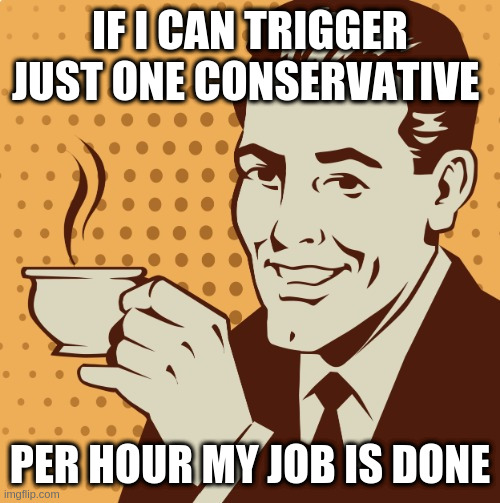 is the word trigger too triggering | IF I CAN TRIGGER JUST ONE CONSERVATIVE; PER HOUR MY JOB IS DONE | image tagged in mug approval,rumptards | made w/ Imgflip meme maker
