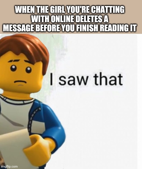 This happens all the time | WHEN THE GIRL YOU'RE CHATTING WITH ONLINE DELETES A MESSAGE BEFORE YOU FINISH READING IT | image tagged in jay saw that,ninjago,jay | made w/ Imgflip meme maker
