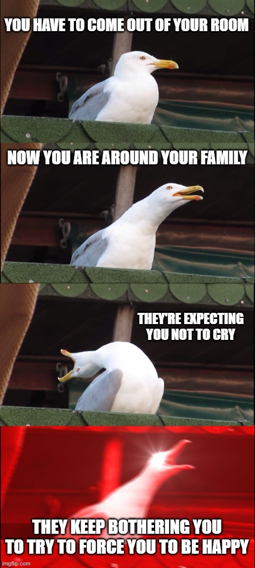 Inhaling Seagull | YOU HAVE TO COME OUT OF YOUR ROOM; NOW YOU ARE AROUND YOUR FAMILY; THEY'RE EXPECTING YOU NOT TO CRY; THEY KEEP BOTHERING YOU TO TRY TO FORCE YOU TO BE HAPPY | image tagged in memes,inhaling seagull | made w/ Imgflip meme maker