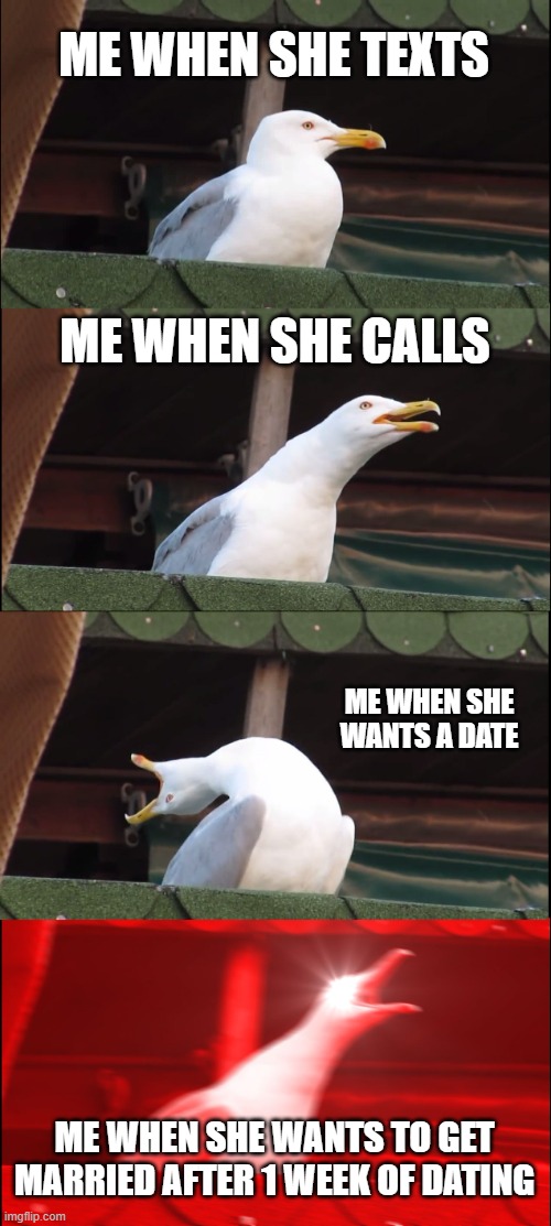 Inhaling Seagull | ME WHEN SHE TEXTS; ME WHEN SHE CALLS; ME WHEN SHE WANTS A DATE; ME WHEN SHE WANTS TO GET MARRIED AFTER 1 WEEK OF DATING | image tagged in memes,inhaling seagull | made w/ Imgflip meme maker