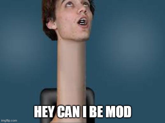 HEY CAN I BE MOD |  NEVER GONNA GIVE YOU UP; HEY CAN I BE MOD | image tagged in long neck dani | made w/ Imgflip meme maker