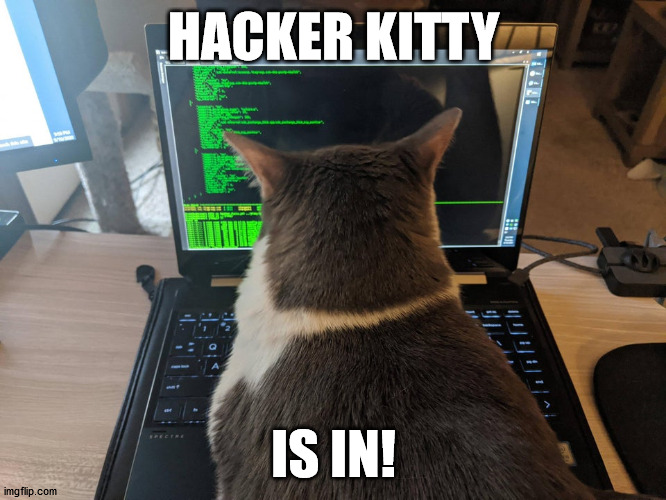 HACKER KITTY; IS IN! | made w/ Imgflip meme maker