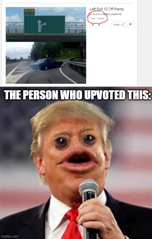 Now who would upvote this??? | THE PERSON WHO UPVOTED THIS: | image tagged in upvote,noob,trump | made w/ Imgflip meme maker