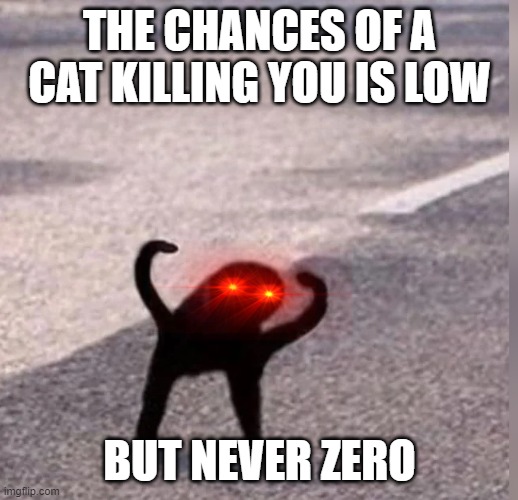 Cursed Cat |  THE CHANCES OF A CAT KILLING YOU IS LOW; BUT NEVER ZERO | image tagged in cursed cat | made w/ Imgflip meme maker
