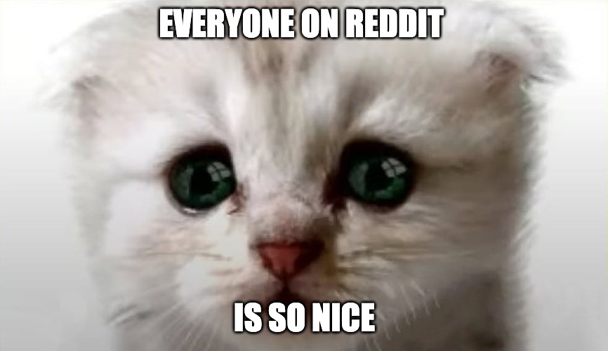 Real Cat Lawyer | EVERYONE ON REDDIT; IS SO NICE | image tagged in real cat lawyer | made w/ Imgflip meme maker