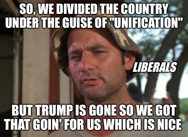 "At least we got that goin' for us" | SO, WE DIVIDED THE COUNTRY UNDER THE GUISE OF "UNIFICATION"; LIBERALS; BUT TRUMP IS GONE SO WE GOT THAT GOIN' FOR US WHICH IS NICE | image tagged in memes,so i got that goin for me which is nice,politics | made w/ Imgflip meme maker