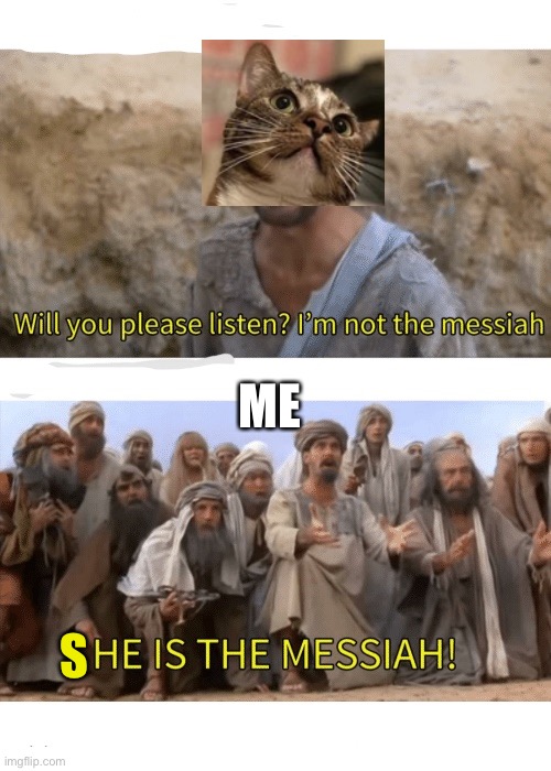 Patches the Cat | ME; S | image tagged in he is the messiah | made w/ Imgflip meme maker