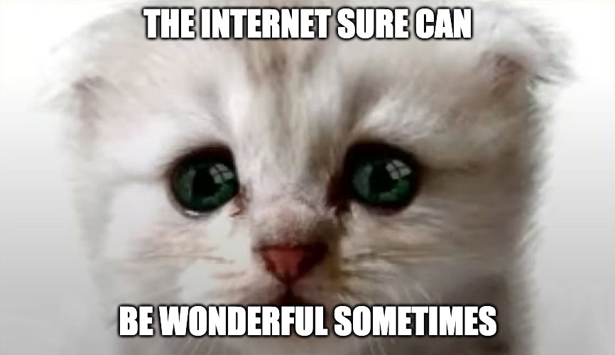 Real Cat Lawyer | THE INTERNET SURE CAN; BE WONDERFUL SOMETIMES | image tagged in real cat lawyer | made w/ Imgflip meme maker