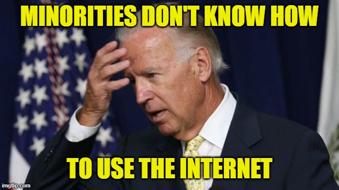 Joe Biden worries | MINORITIES DON'T KNOW HOW TO USE THE INTERNET | image tagged in joe biden worries | made w/ Imgflip meme maker