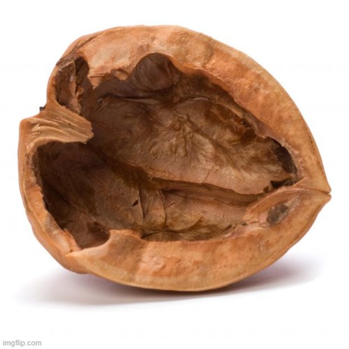 Nutshell | image tagged in nutshell | made w/ Imgflip meme maker