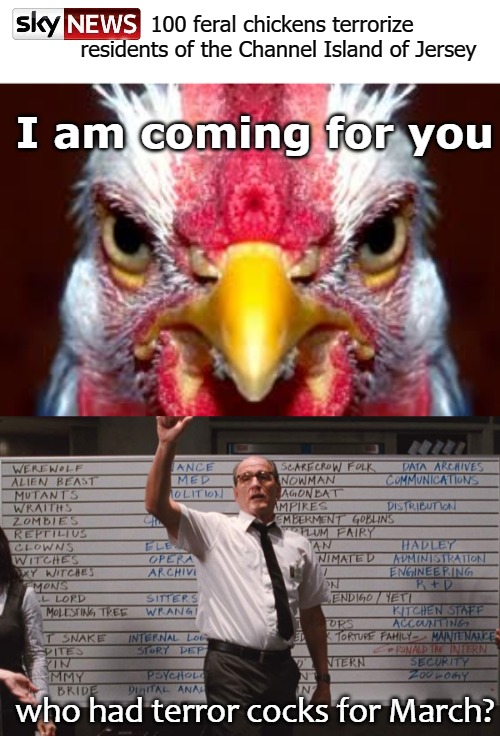 100 feral chickens terrorize residents of the Channel Island of Jersey; I am coming for you; who had terror cocks for March? | image tagged in chickens | made w/ Imgflip meme maker