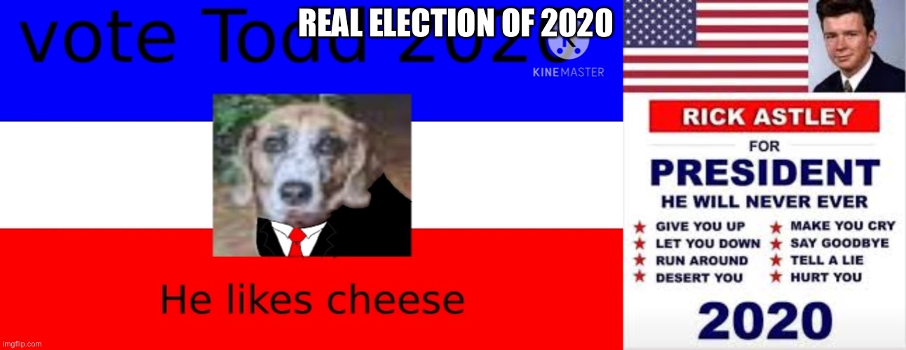 Todd 2024! | REAL ELECTION OF 2020 | image tagged in dogs,rickroll | made w/ Imgflip meme maker