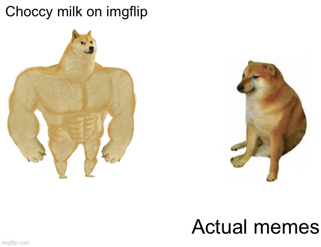 Choccy milk vs memes | Choccy milk on imgflip; Actual memes | image tagged in memes,buff doge vs cheems,choccy milk | made w/ Imgflip meme maker