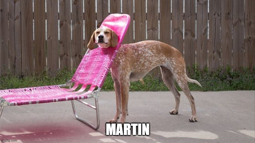 Martin | MARTIN | image tagged in stuck doggo | made w/ Imgflip meme maker