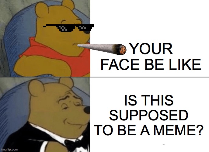 Tuxedo Winnie The Pooh Meme | YOUR FACE BE LIKE; IS THIS SUPPOSED TO BE A MEME? | image tagged in memes,tuxedo winnie the pooh | made w/ Imgflip meme maker
