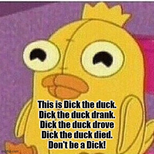 Dick the duck | This is Dick the duck.
Dick the duck drank.
Dick the duck drove
Dick the duck died.
Don't be a Dick! | image tagged in dick pic | made w/ Imgflip meme maker
