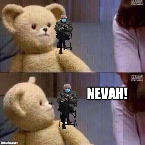 What? Teddy Bear | NEVAH! | image tagged in what teddy bear | made w/ Imgflip meme maker