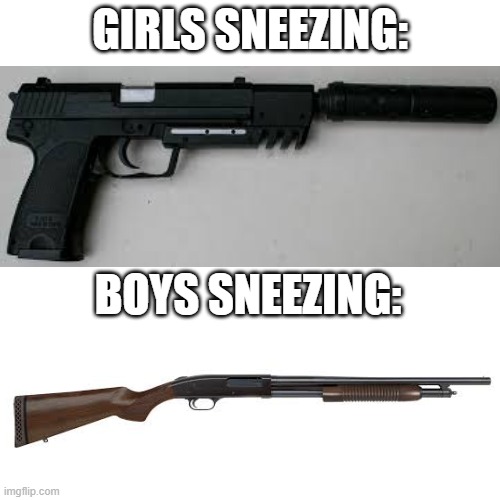 Blank Transparent Square Meme | GIRLS SNEEZING:; BOYS SNEEZING: | image tagged in memes,blank transparent square,relatable,sneezing,girls vs boys | made w/ Imgflip meme maker