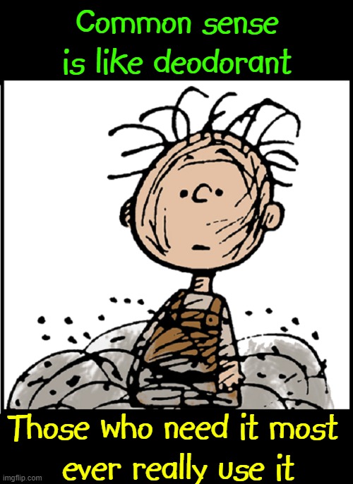 One of these Things is Just Like the Other |  Common sense is like deodorant; Those who need it most 
ever really use it | image tagged in vince vance,peanuts,pigpen,common sense,deodorant,memes | made w/ Imgflip meme maker