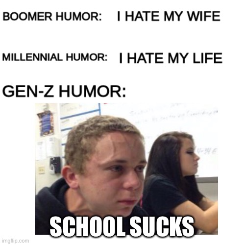 LOL | SCHOOL SUCKS | image tagged in school,school sucks,funny,gen z,humor | made w/ Imgflip meme maker