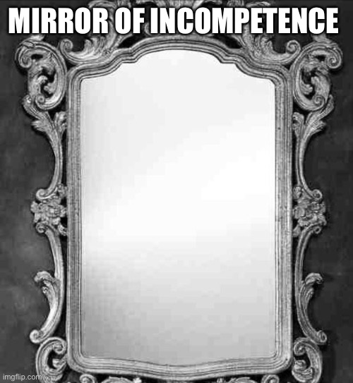 Mirror | MIRROR OF INCOMPETENCE | image tagged in mirror | made w/ Imgflip meme maker
