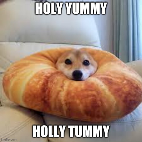 Shibe  crossont | HOLY YUMMY; HOLLY TUMMY | image tagged in yummy,doge,dog | made w/ Imgflip meme maker