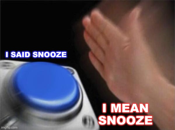 The Button Meme |  I SAID SNOOZE; I MEAN SNOOZE | image tagged in memes,blank nut button | made w/ Imgflip meme maker