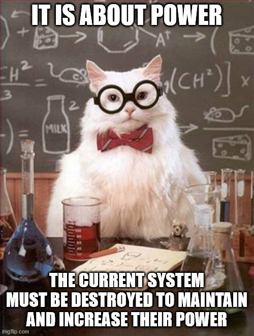 Science Cat Good Day | IT IS ABOUT POWER THE CURRENT SYSTEM MUST BE DESTROYED TO MAINTAIN AND INCREASE THEIR POWER | image tagged in science cat good day | made w/ Imgflip meme maker
