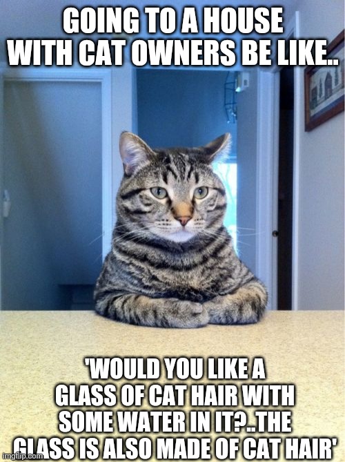 Take A Seat Cat | GOING TO A HOUSE WITH CAT OWNERS BE LIKE.. 'WOULD YOU LIKE A GLASS OF CAT HAIR WITH SOME WATER IN IT?..THE GLASS IS ALSO MADE OF CAT HAIR' | image tagged in memes,take a seat cat | made w/ Imgflip meme maker