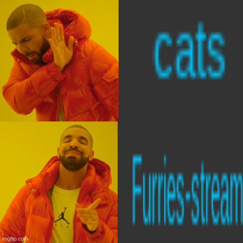 Screw gravit- I mean who needs one animal streams when you got ALL OF THEM | image tagged in cats,furry memes | made w/ Imgflip meme maker