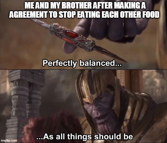 meme | ME AND MY BROTHER AFTER MAKING A AGREEMENT TO STOP EATING EACH OTHER FOOD | image tagged in thanos perfectly balanced as all things should be | made w/ Imgflip meme maker