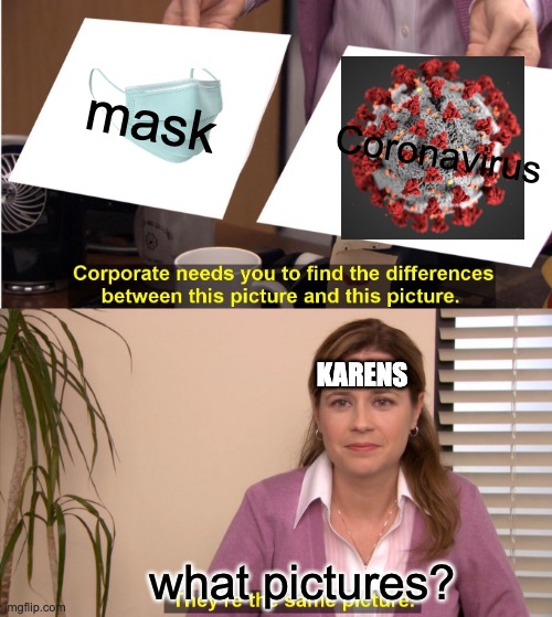 They're The Same Picture Meme | mask; Coronavirus; KARENS; what pictures? | image tagged in memes,they're the same picture | made w/ Imgflip meme maker