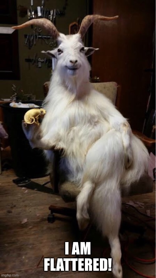goat | I AM FLATTERED! | image tagged in goat | made w/ Imgflip meme maker