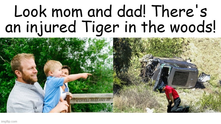 Tiger Woods Injured Tiger In The Woods | image tagged in tiger woods injured tiger in the woods | made w/ Imgflip meme maker