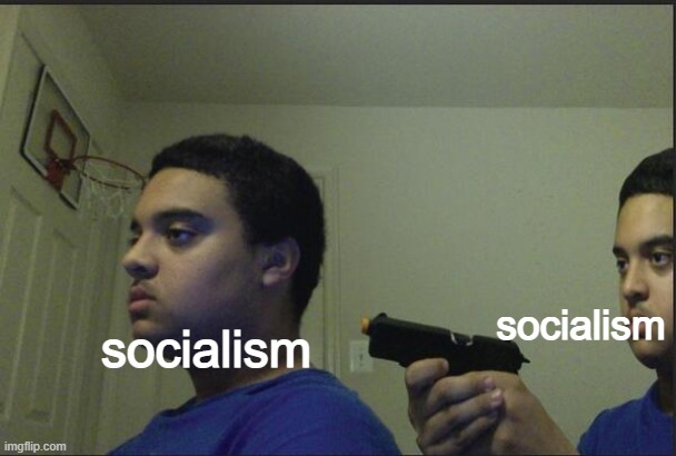 flawed inherently | socialism; socialism | image tagged in trust nobody not even yourself,communist socialist,socialism,political meme,funny memes | made w/ Imgflip meme maker