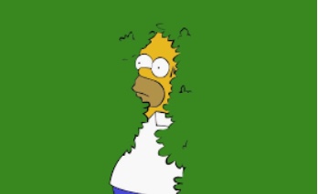 Homer In a Bush Blank Meme Template