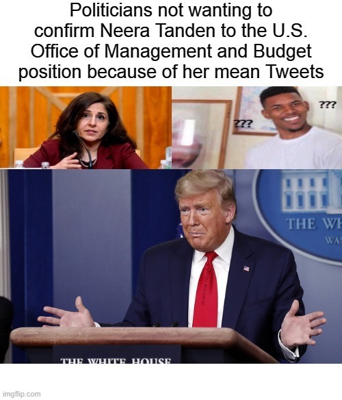 Neera Tanden Confirmation | image tagged in neera tanden confirmation | made w/ Imgflip meme maker