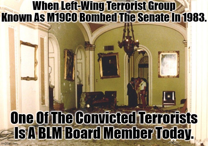When Left-Wing Terrorist Group Known As M19CO Bombed The Senate In 1983. One Of The Convicted Terrorists Is A BLM Board Member Today. | made w/ Imgflip meme maker