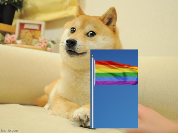 Lgbtq doge | image tagged in memes,doge 2 | made w/ Imgflip meme maker