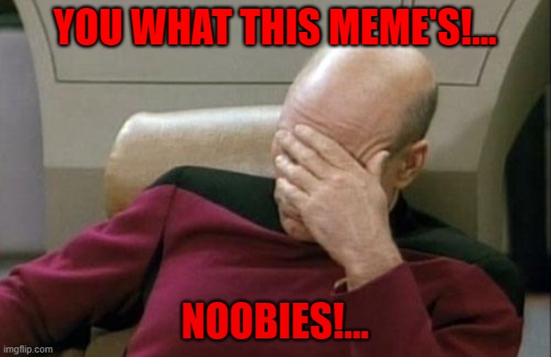 Red Alert Noob's... | YOU WHAT THIS MEME'S!... NOOBIES!... | image tagged in memes,captain picard facepalm | made w/ Imgflip meme maker