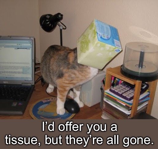 I’d offer you a tissue, but they’re all gone. | made w/ Imgflip meme maker