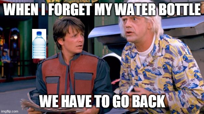 lol | WHEN I FORGET MY WATER BOTTLE; WE HAVE TO GO BACK | image tagged in we have to go back | made w/ Imgflip meme maker