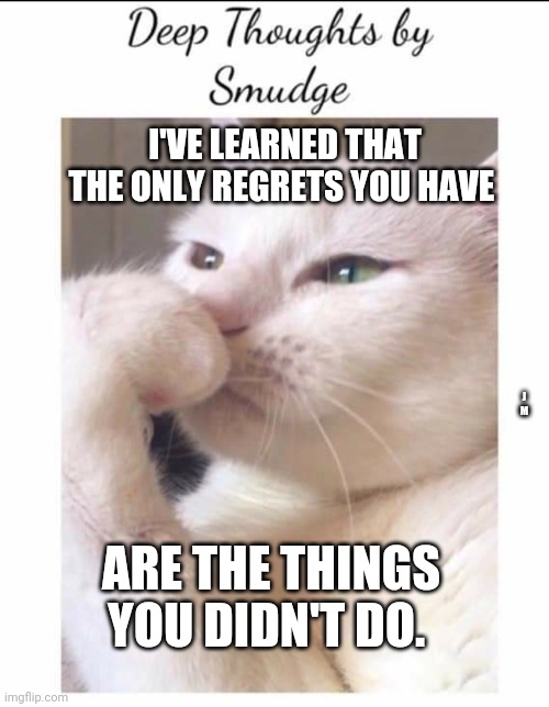 Smudge | I'VE LEARNED THAT THE ONLY REGRETS YOU HAVE; J M; ARE THE THINGS YOU DIDN'T DO. | image tagged in smudge | made w/ Imgflip meme maker