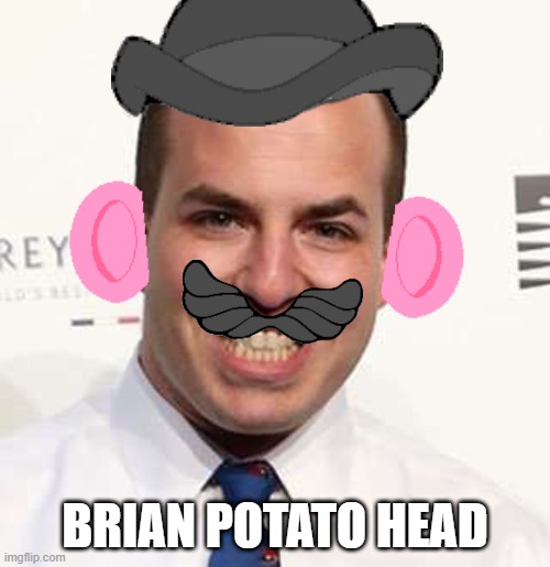 Brian Potato Head | BRIAN POTATO HEAD | image tagged in brian stelter,mr potato head | made w/ Imgflip meme maker