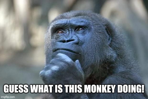 Feel free to comment! | GUESS WHAT IS THIS MONKEY DOING! | image tagged in that is the question | made w/ Imgflip meme maker