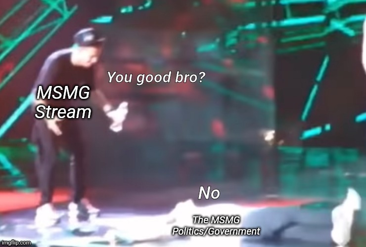 One Direction You good bro? | MSMG Stream; The MSMG Politics/Government | image tagged in one direction you good bro | made w/ Imgflip meme maker