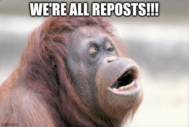 Monkey OOH Meme | WE'RE ALL REPOSTS!!! | image tagged in memes,monkey ooh | made w/ Imgflip meme maker